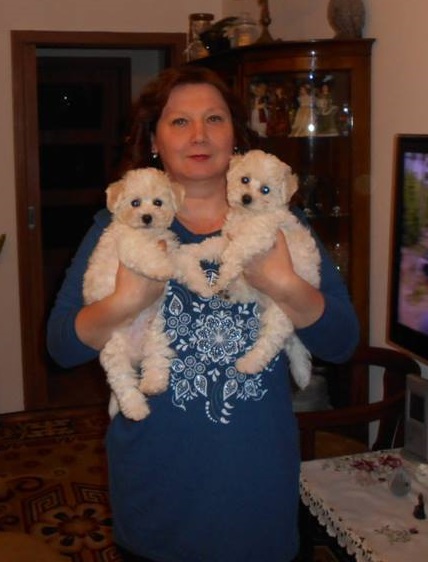 Dne 25.1.2018 odešli oba chlapečci do společněho domova k rodině Štěpánových do HK.