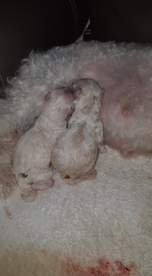 První minuty na světě.