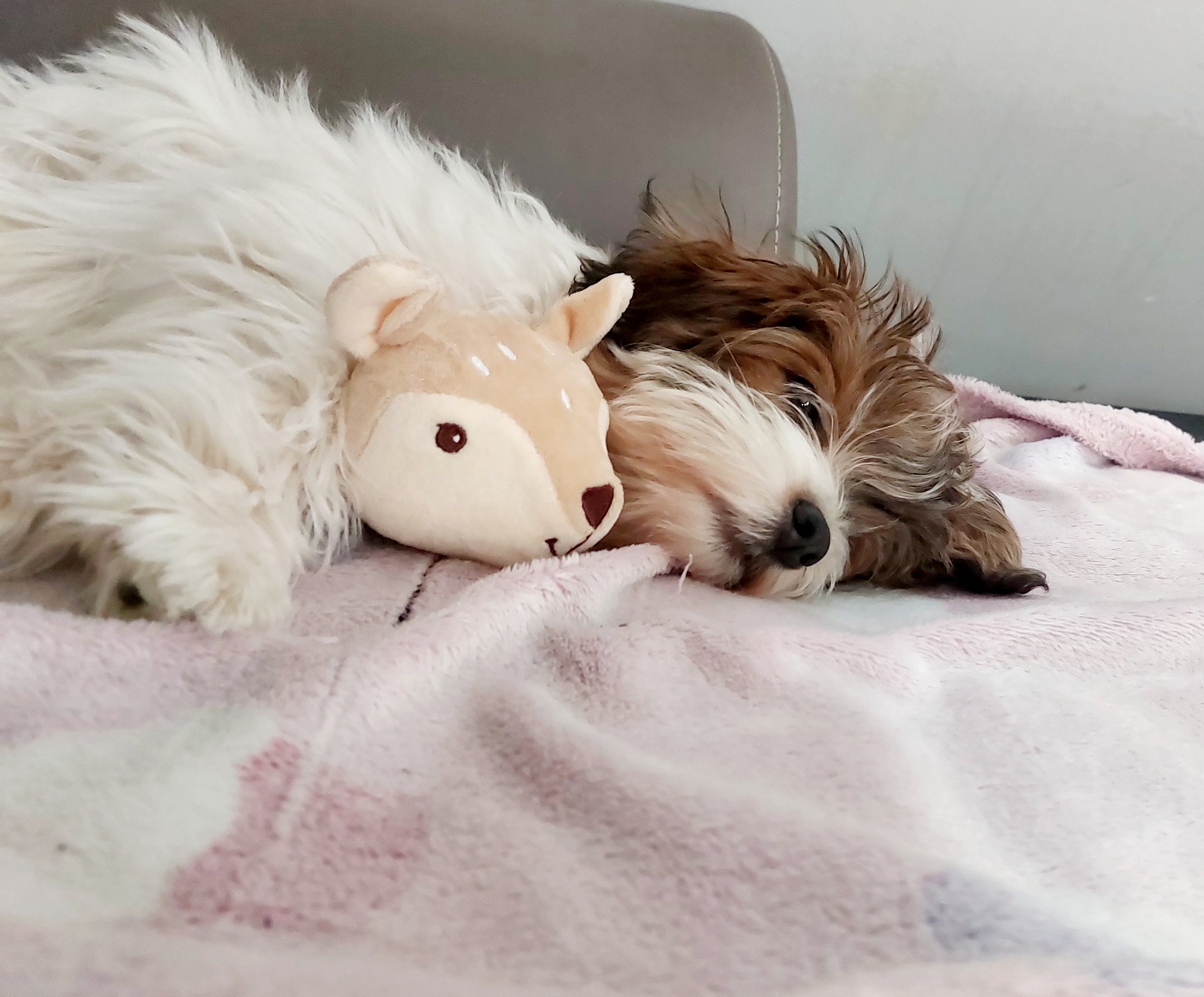 Spi sladce, maličká. 