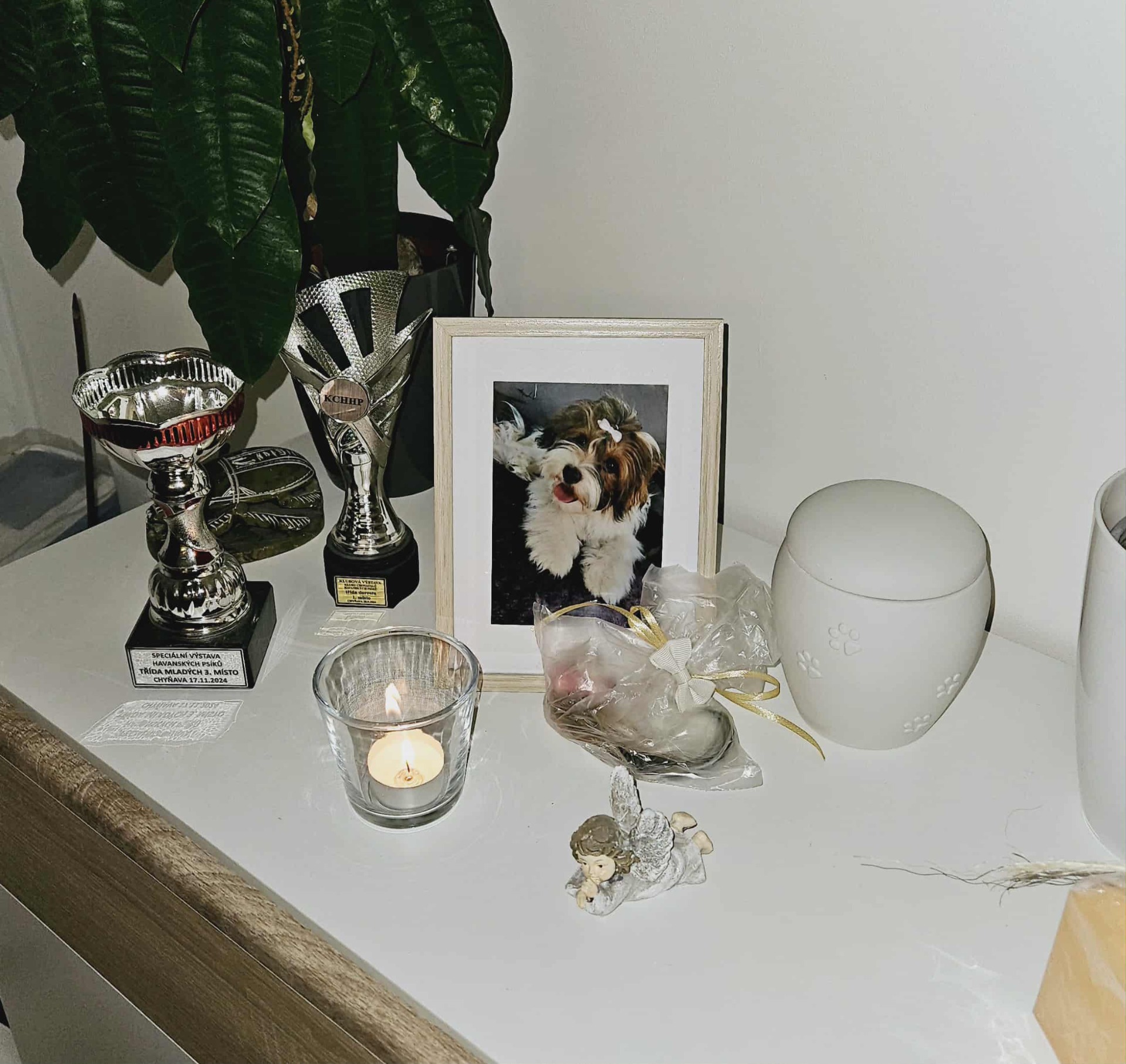 Mám Tě blízko sebe navždy. 